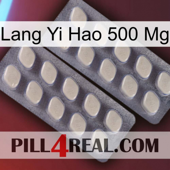 Lang Yi Hao 500 Mg 07.jpg